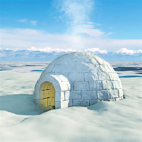 Winter Home Igloo Picture