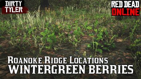 Wintergreen berry is a small green plant with red berries in the middle; you can find it in Roanoke Ridge. Easy to find east of Manito Glade and between Doverhill and Willard’s Rest . Doverhill & Willard’s Rest:. 