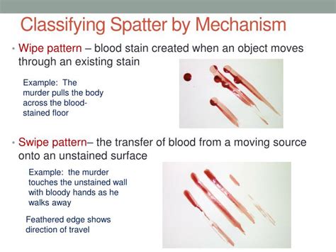 Wipe Blood Spatter Patterns