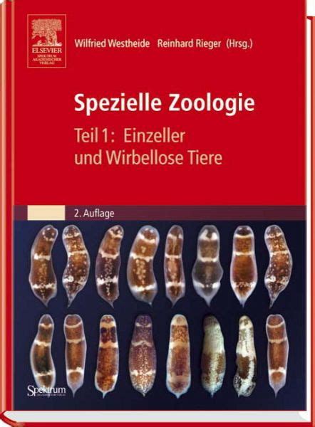 Wirbellose zoologie laborhandbuch 6. - 2008 yamaha yzfr6x c manual de taller de reparación de servicio descarga.