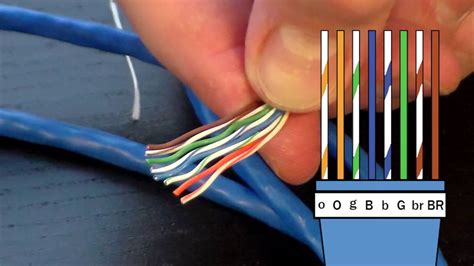 Wire a network cable. Alpha Wire's Industrial Ethernet cables are the perfect solution for applications in the robotics, medical, automation, and transportation industries. The ... 