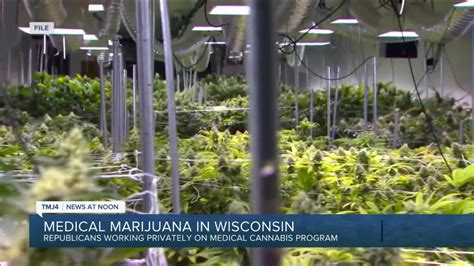 Wisconsin GOP lawmakers working on medical pot legalization