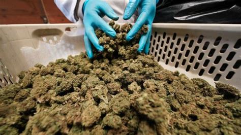 Wisconsin Republican proposal to legalize medical marijuana coming in January