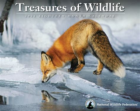 Wisconsin Wildlife Federation Calendar Winners Printable Word Searches