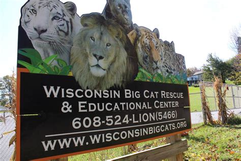 Wisconsin big cat rescue. Circle Of Souls Animal Rescue, Sheboygan, Wisconsin. 532 likes · 158 talking about this. EIN 93-2387806. ... EIN 93-2387806. We are a NEW foster-based rescue that provides full circle care to animals in need. ... 