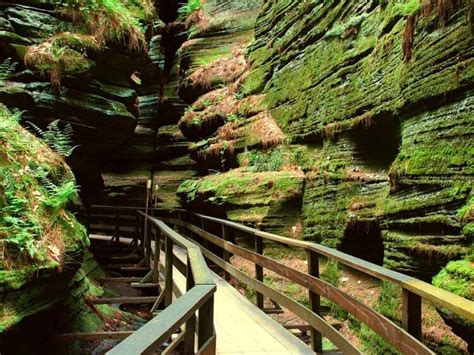 Wisconsin dells hiking. Your tour begins with a boat ride up the Dells while being give the history of the river. Once at Witches Gulch, we took a leisurely walk through beautiful vegetation, hill sides, and easy terrain. All paths are paved and easy to walk. At the top of the Gulch you'll find restrooms, concession stand and gorgeous scenery. 