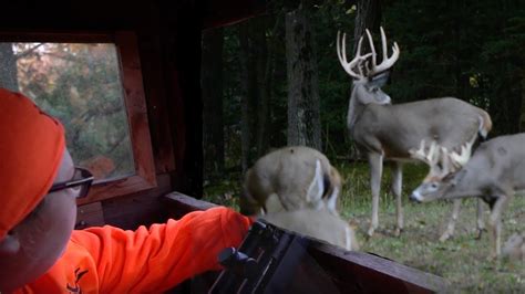 Wisconsin youth deer hunt 2023. Wisconsin Deer Season runs from September 16, 2023 - January 7th, 2024. Whether you are a seasoned hunter, or this is your first time, it’s always smart to make sure you have … 
