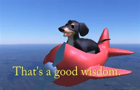 Wisdom dog. Things To Know About Wisdom dog. 