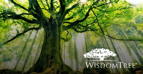 Wisdon tree. Things To Know About Wisdon tree. 