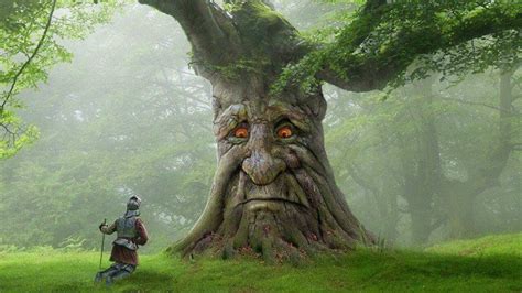 Wise tree meme origin explained . The origin of the wise old mystical