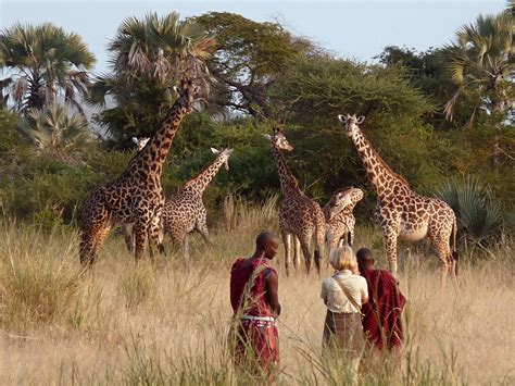 Wish You Were Here: On safari in Tanzania