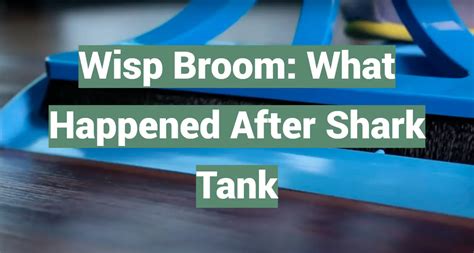 Wisp after shark tank. Another "Shark Tank" update came around for the team on Season 13 of the show. It was revealed that they brought in $1.4 million a week with lifetime sales totaling $120 million. 