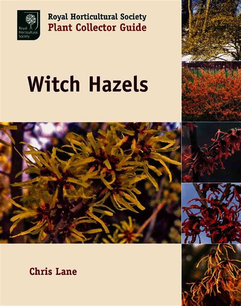Witch hazels royal horticultural society plant collector guide. - Del azar y del presentimiento y otros poemas inéditos.