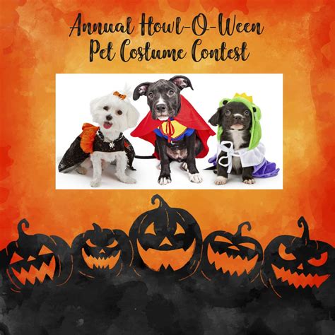 Witch way to the treats? Bowie dog park hosts pet pantry event and costume contest