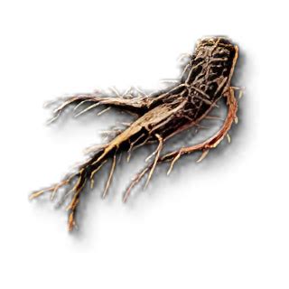 Witcher 3 allspice item code.  The Witcher is A complete and up-to-date list o...