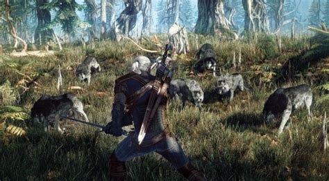 Witcher 3 combat animation mod. .  ...