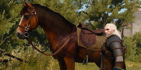 Witcher 3 roach stamina mod.  Discover the White Wolf&rsquo;s origins in The Witche...