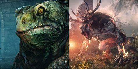 Witcher creatures list.  Creatures which appear in the original game are in...