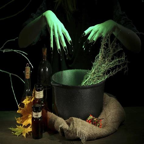 Witches brew. Things To Know About Witches brew. 