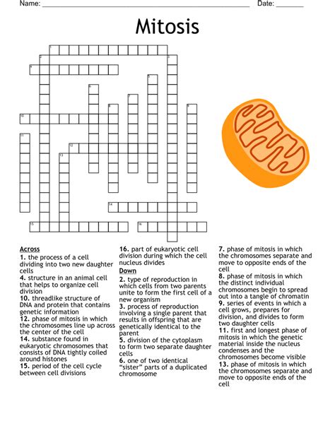 With 58 across mitosis crossword clue. Jun 22, 2023 · Universal Crossword Clue. This crossword clue was last seen on June 22 2023 Universal Crossword puzzle. The solution we have for With 58-Across mitosis ... or what each set of indicated letters depicts? has a total of 4 letters. 