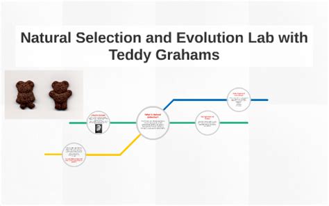 With Grahams Teddy Evolution Lab Answers