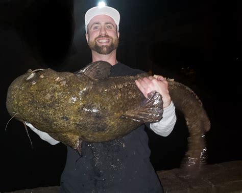 With new top flathead catfish, what are the other record fish in ...