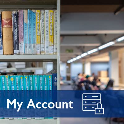 Wits library database