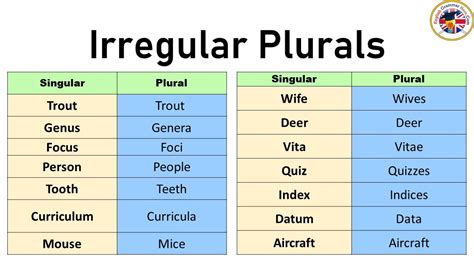 Wives bred by black studs.  wive (wīv), v.  Understanding irregular plural form...