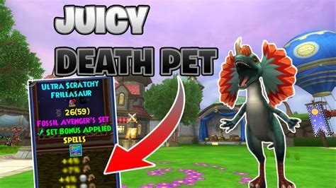 Wizard101: Why Quint Damage Pets Are Not Worth It - YouTube