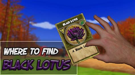 Wizard101, where to find Black Lotus:Hey everyone, toda