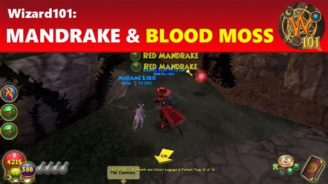 Aug 23, 2020 · Wizard101 - How To Get The Most Red Mandrake & Turn It Into Blood Moss Fastest Farming Method 2020!!This is so far the fastest way that I could come up with ... 