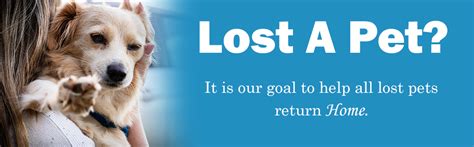 There is nothing worse than a lost dog or cat. It is devastating to think your best friend is lost and alone and possibly hurt. WNY Lost & Found Pets. 