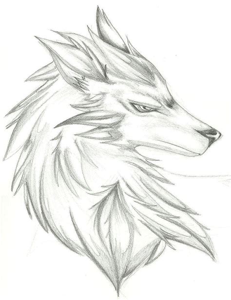 Wolf Cool Drawing