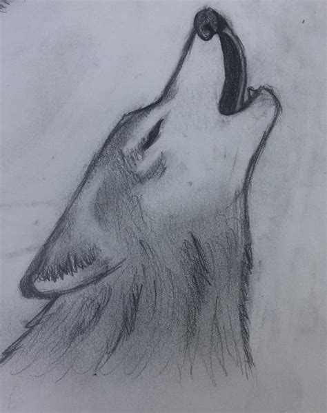 Wolf drawing ideas. Things To Know About Wolf drawing ideas. 