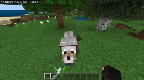 Wolf in Minecraft Spawning Behavior Taming