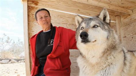 Wolf mountain sanctuary. Founded by Tonya "Littlewolf" Carloni, half Apache, the Sanctuary rescues and protects wolves in the wild and in captivity. Learn about the legend of the Wolf Moon, the different types of wolves, and how to visit the … 
