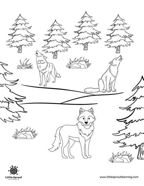 Wolves Coloring