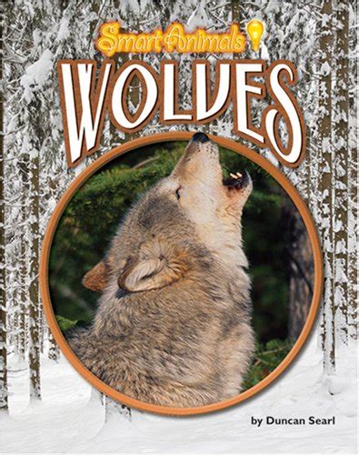 Wolves Smart Animals