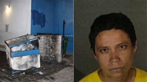 Woman admits to setting 4 fires in Reseda, LAFD says