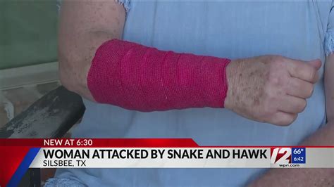 Woman attacked by snake that fell from the sky, then a hawk hunting it