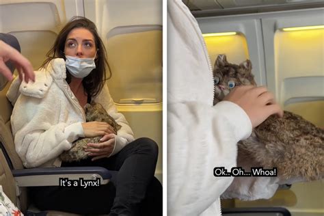 Woman breastfeeding cat on plane: Here