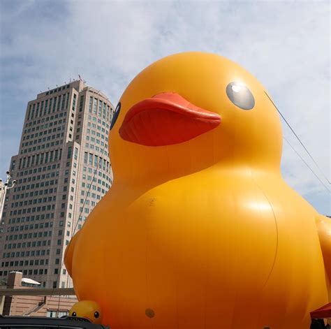Woman campaigns to get the 'World's Largest Rubber Duck' to St. Louis