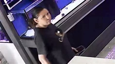 Woman caught on camera at 3 different pet stores, stealing exotic monkey and marine life
