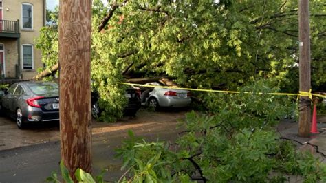 Woman dies after tree falls on her car during Saturday’s severe weather in St. Louis