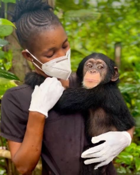 Woman fuccking chimp.  It doesn't even involve people—or rather, it involves...