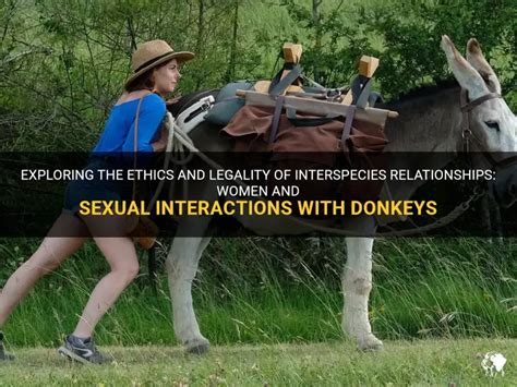 Woman having sex donkey.  In general, the practice in current edited written ...