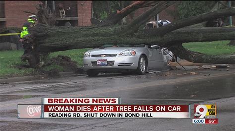 Woman inside car killed in St. Louis after tree falls during storms