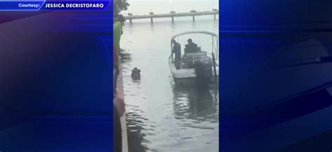 Woman jumped into Biscayne Bay with 3-year-old nephew, took clothes off after officers arrived, police say