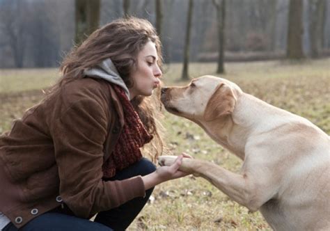 Woman mating with a dog. Things To Know About Woman mating with a dog. 