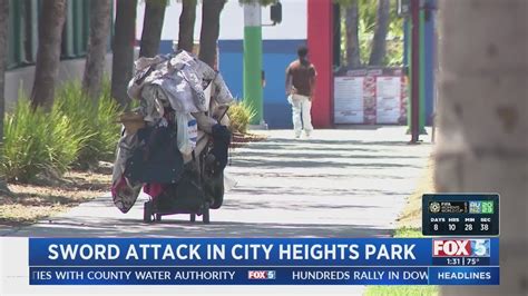 Woman scalped with sword at park